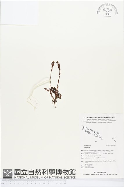 登錄號:BS02783藏品圖，第1張