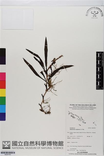 登錄號:BS05783藏品圖，第1張