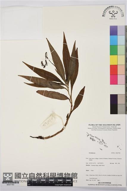 登錄號:BS07783藏品圖，第1張