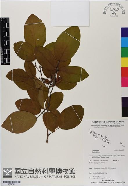 登錄號:BS06583藏品圖，第1張