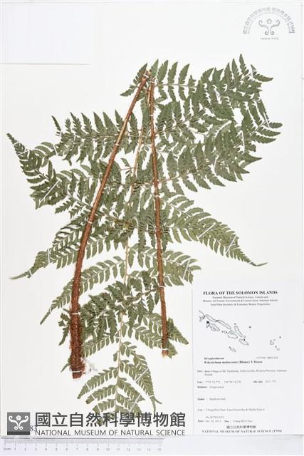 登錄號:BP01583藏品圖，第1張