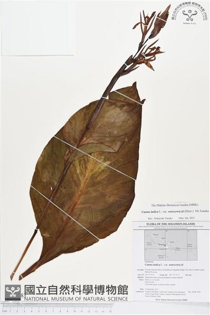 登錄號:BS01583藏品圖，第1張