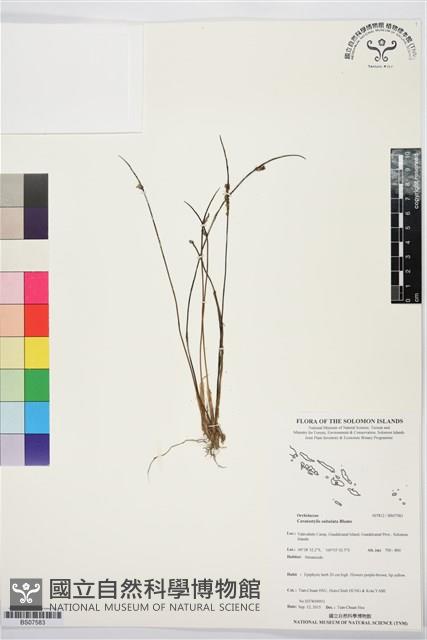 登錄號:BS07583藏品圖，第1張