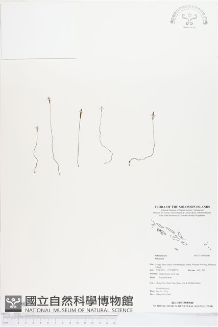 登錄號:BP00983藏品圖，第1張