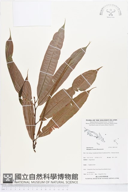 登錄號:BP01983藏品圖，第1張