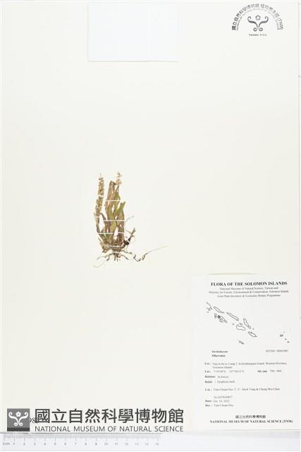 登錄號:BS01983藏品圖，第1張