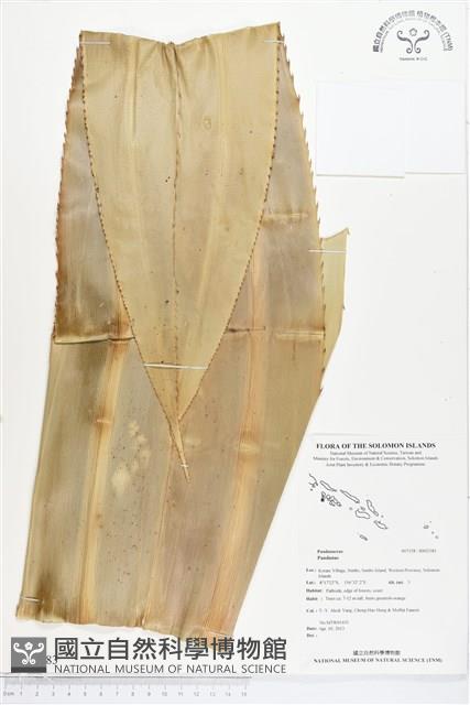 登錄號:BS02383藏品圖，第1張