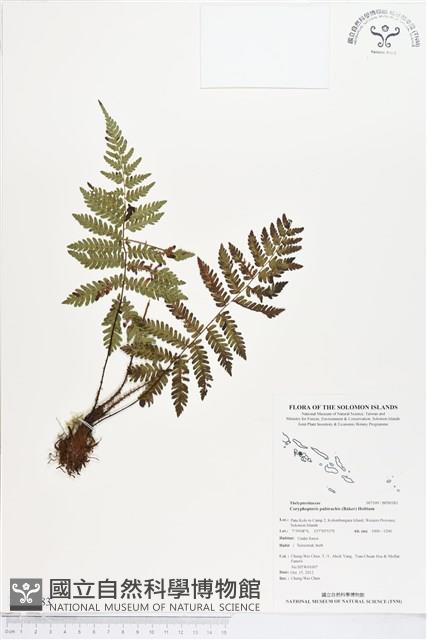 登錄號:BP00383藏品圖，第1張