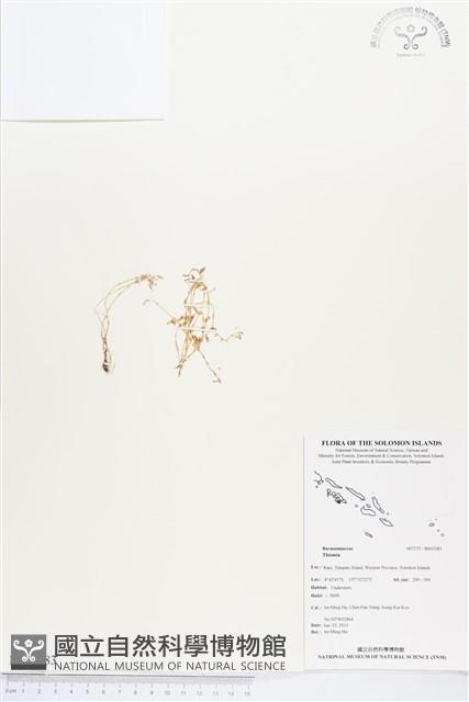 登錄號:BS03383藏品圖，第1張