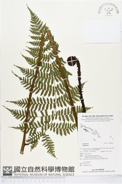 登錄號:BP00893藏品圖，第1張