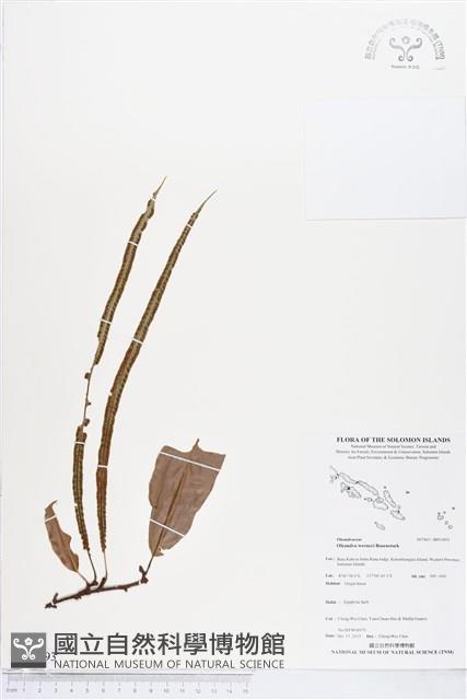 登錄號:BP01893藏品圖，第1張