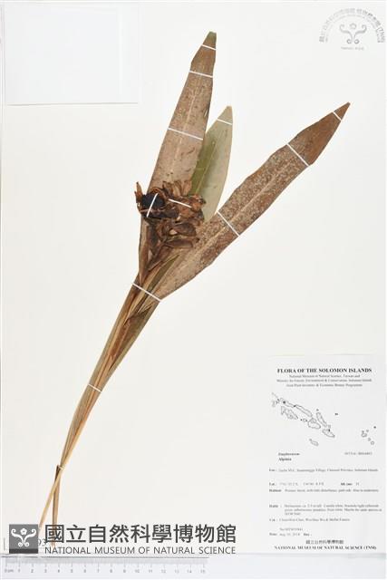 登錄號:BS04893藏品圖，第1張