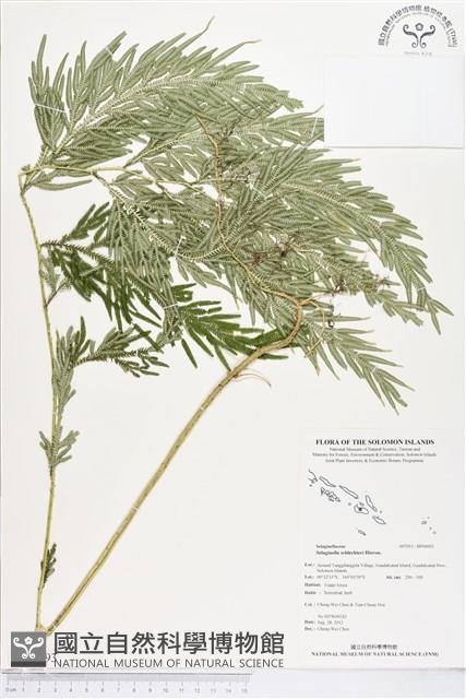 登錄號:BP00093藏品圖，第1張