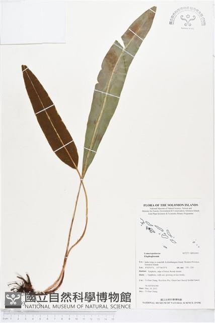 登錄號:BP01093藏品圖，第1張