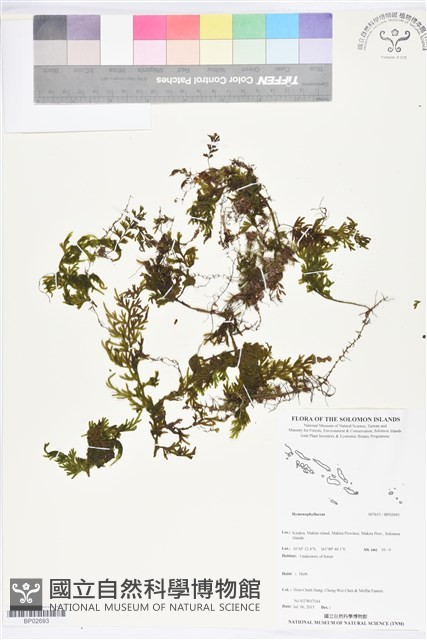 登錄號:BP02693藏品圖，第1張
