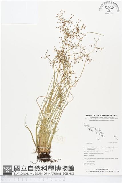 登錄號:BS02693藏品圖，第1張