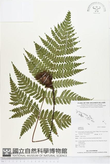 登錄號:BP00693藏品圖，第1張