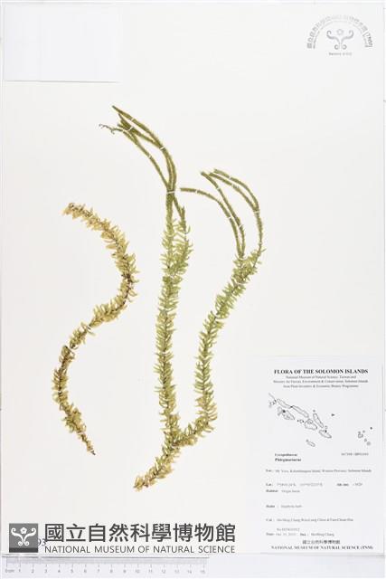 登錄號:BP01693藏品圖，第1張