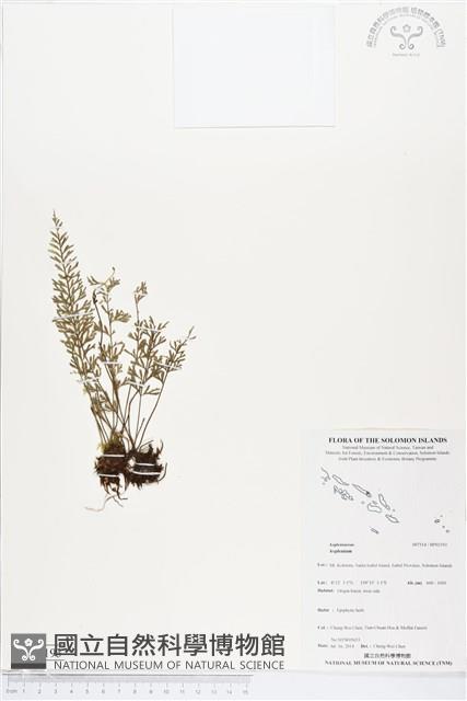 登錄號:BP02193藏品圖，第1張