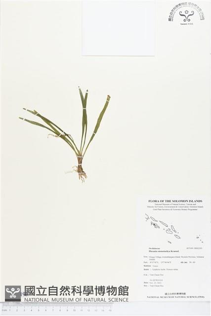 登錄號:BS02193藏品圖，第1張