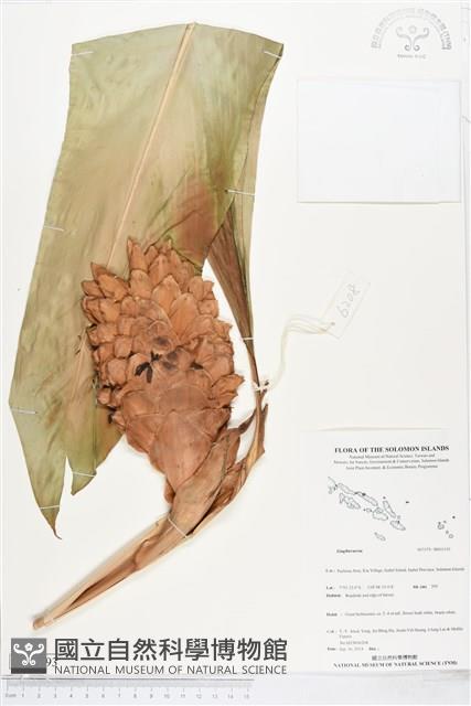 登錄號:BS05193藏品圖，第1張