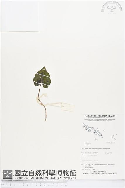 登錄號:BS04193藏品圖，第1張