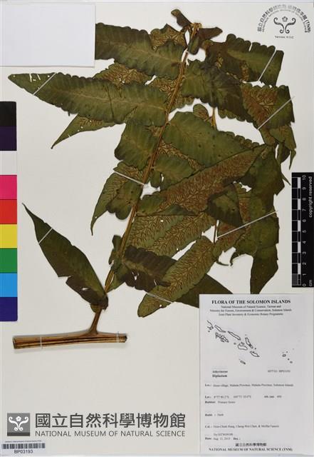 登錄號:BP03193藏品圖，第1張