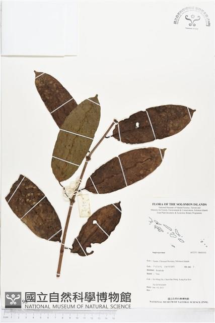 登錄號:BS03193藏品圖，第1張