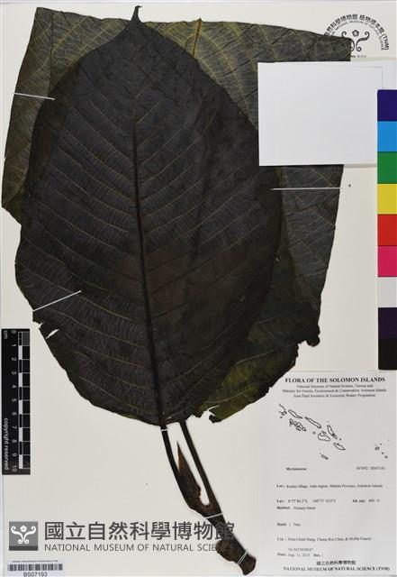 登錄號:BS07193藏品圖，第1張