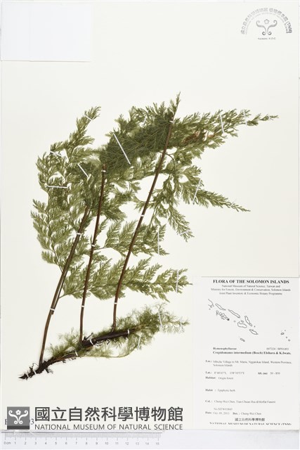 登錄號:BP01493藏品圖，第1張