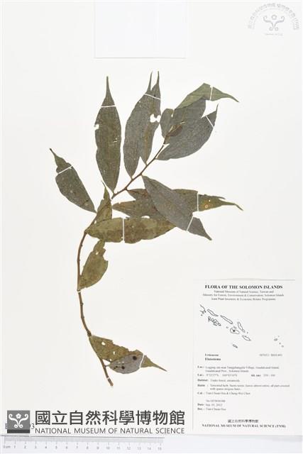 登錄號:BS01493藏品圖，第1張