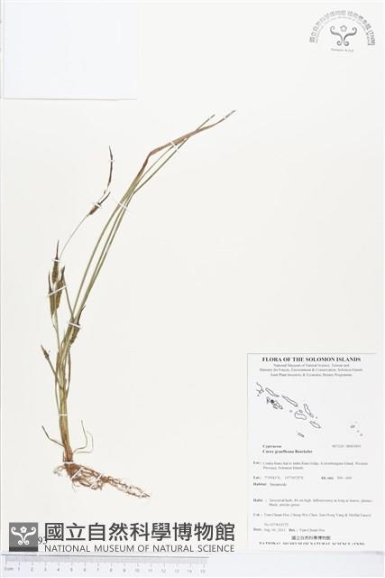 登錄號:BS03493藏品圖，第1張