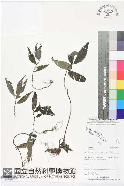 登錄號:BS06293藏品圖，第1張