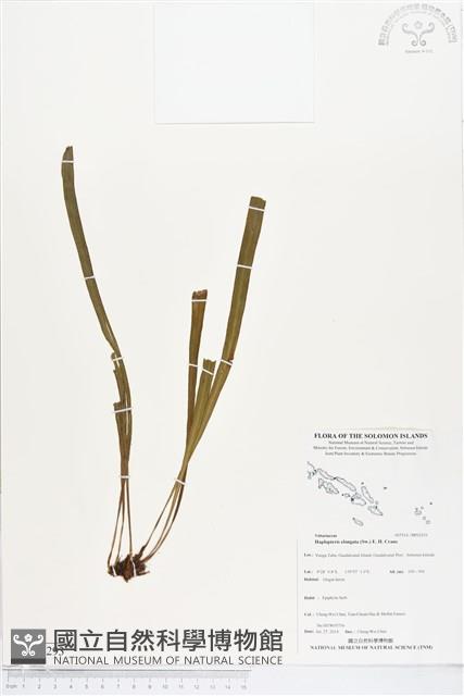 登錄號:BP02293藏品圖，第1張