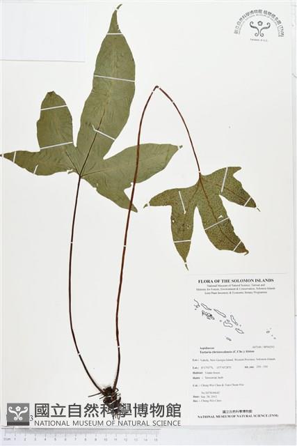 登錄號:BP00293藏品圖，第1張