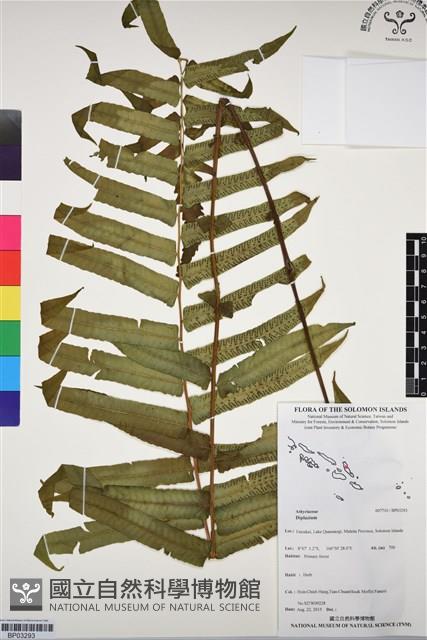 登錄號:BP03293藏品圖，第1張