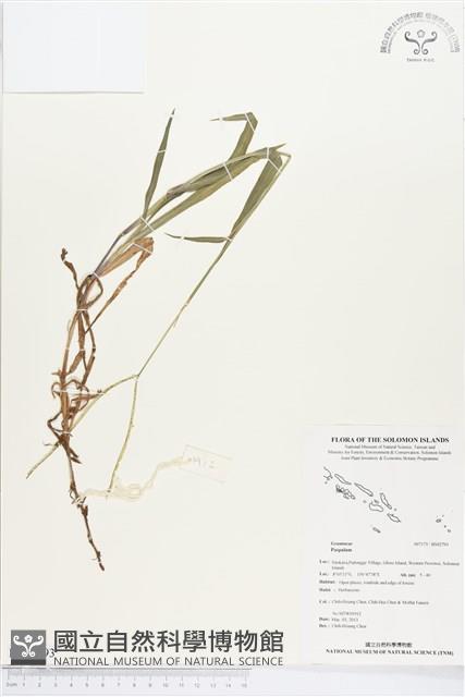 登錄號:BS02793藏品圖，第1張