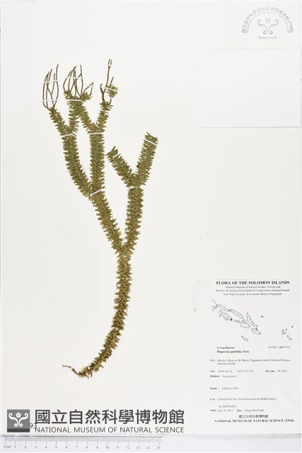 登錄號:BP01793藏品圖，第1張
