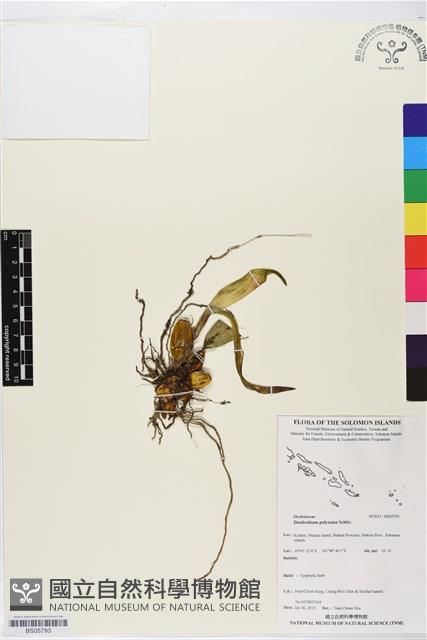登錄號:BS05793藏品圖，第1張