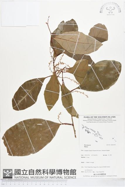 登錄號:BS03593藏品圖，第1張