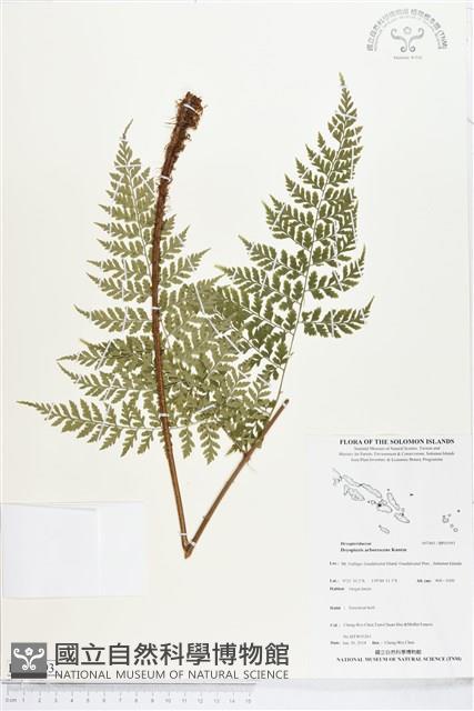 登錄號:BP01993藏品圖，第1張