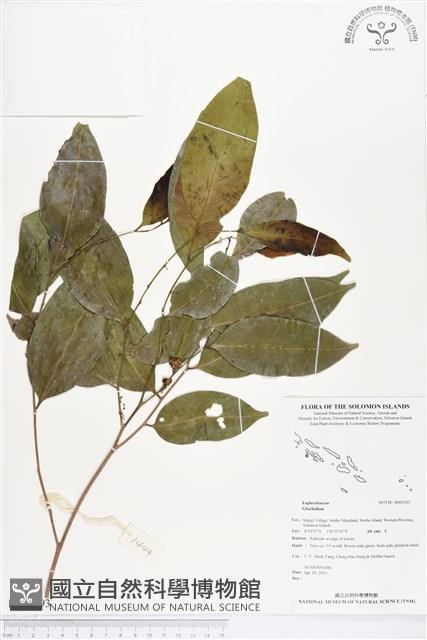 登錄號:BS02393藏品圖，第1張