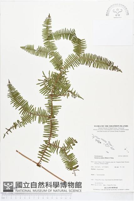 登錄號:BP01393藏品圖，第1張