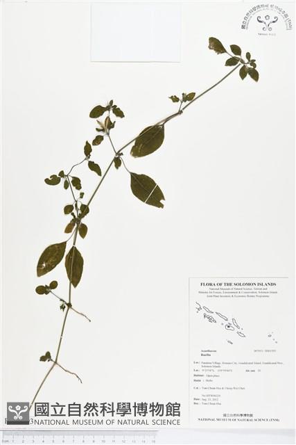 登錄號:BS01393藏品圖，第1張