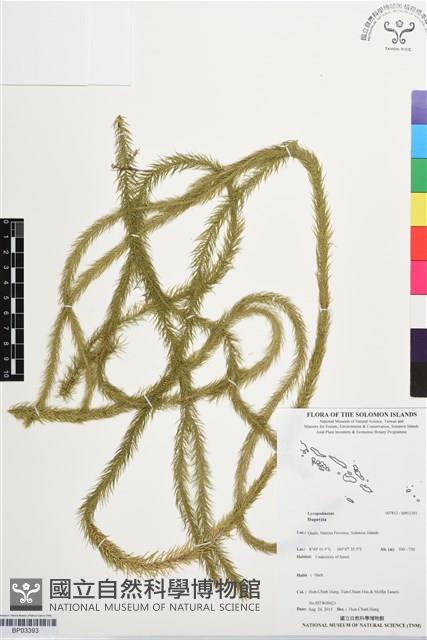 登錄號:BP03393藏品圖，第1張