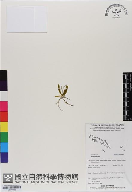 登錄號:BS06863藏品圖，第1張