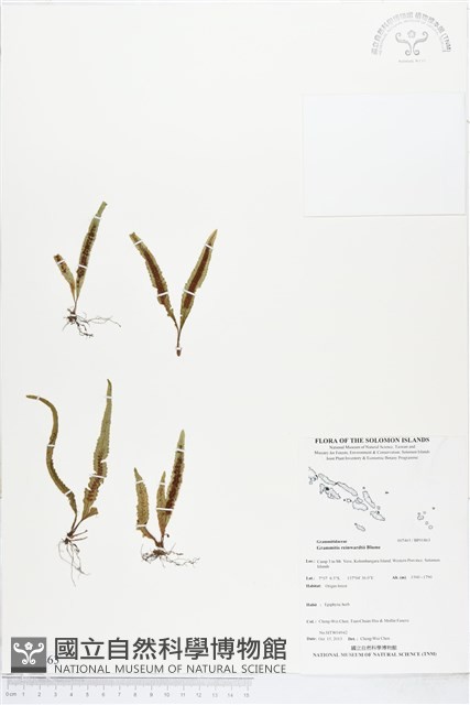 登錄號:BP01863藏品圖，第1張
