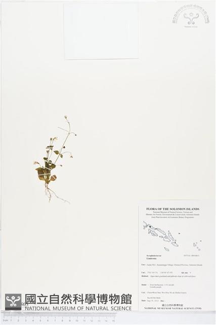 登錄號:BS04863藏品圖，第1張