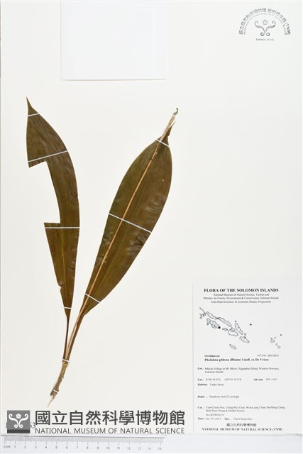 登錄號:BS03863藏品圖，第1張