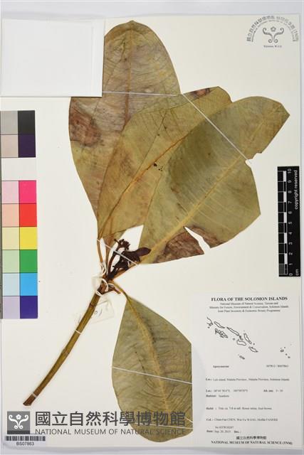 登錄號:BS07863藏品圖，第1張